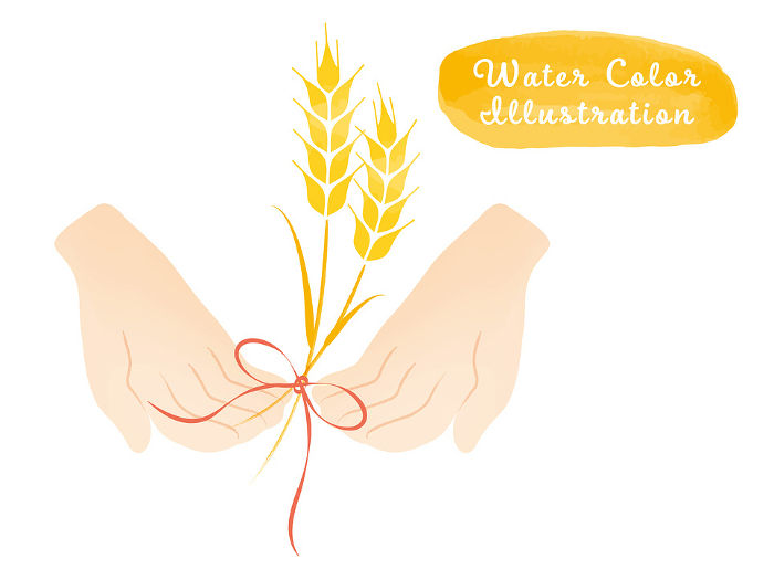 Illustration of a hand offering wheat (seedless, ear only)