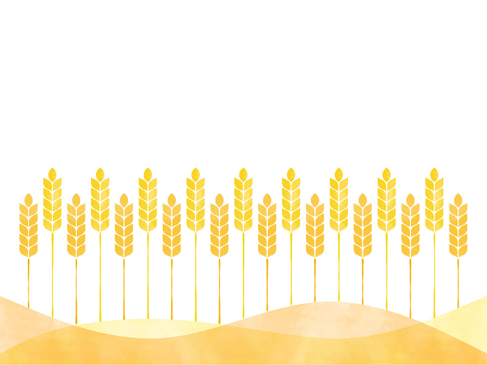 Wheat frame illustration 2