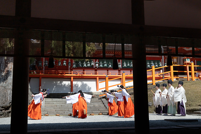 Kasuga Taisha Shrine Apple Garden Rice Planting Ceremony Rice Planting Dance Nara City, Nara Prefecture There is a unique gesture unique to the Kasuga Taisha rice planting dance, known as the  sparrow pose.