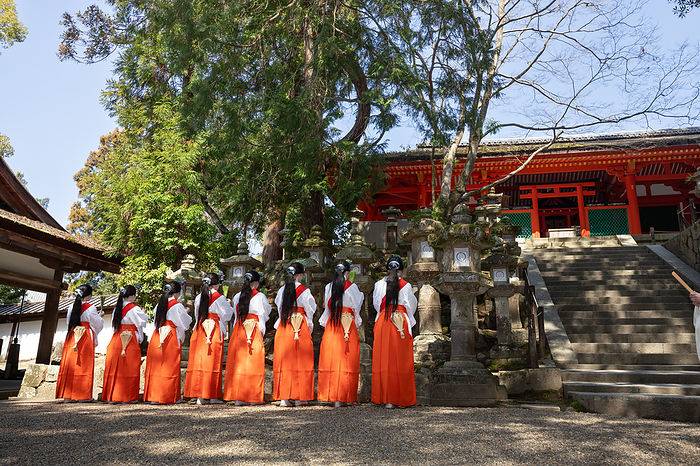 Kasuga Taisha shrine, rice planting ritual, rice planting dance, Nara City, Nara Pref. A rice planting dance of Yaotome women is performed to the songs of Kagura men and musical instruments  scepter clapper, copper clapper, sasara, and kagura flute .