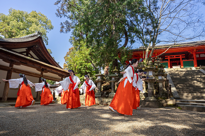 Enomoto Shrine, Kasuga Taisha Shrine, Nara City, Nara Prefecture, Japan There is a unique gesture unique to the Kasuga Taisha rice planting dance, known as the  sparrow pose.