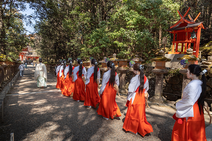 Kasuga Taisha Wakamiya mae Otaue ritual Nara City, Nara Pref. The group after the otaue ritual