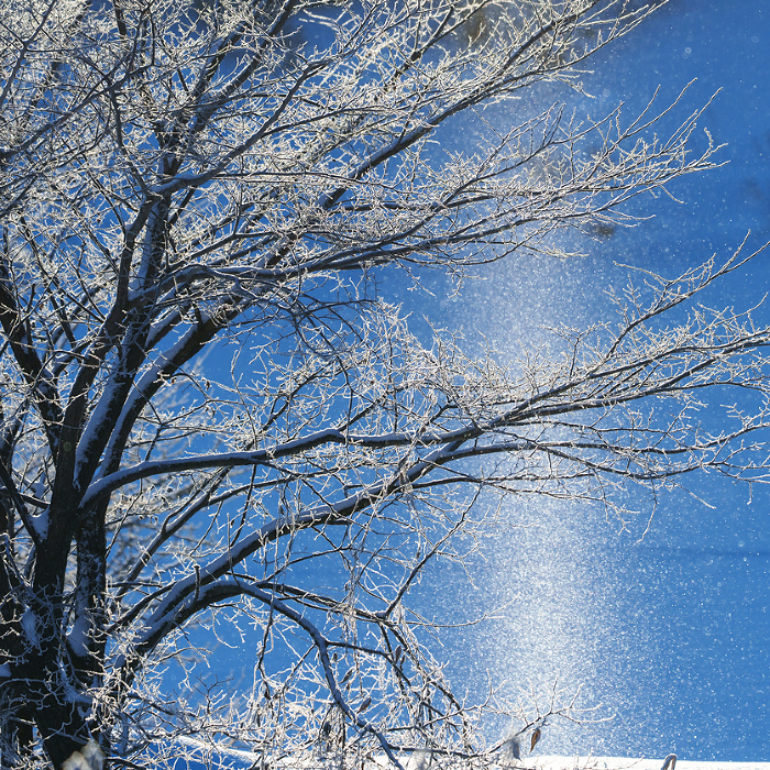 Diamond Dust and Sun Pillar Glimmering: Hokkaido's Spectacular Winter Scenery
