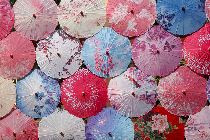 An unfolded Japanese umbrella photographed to fill the screen.