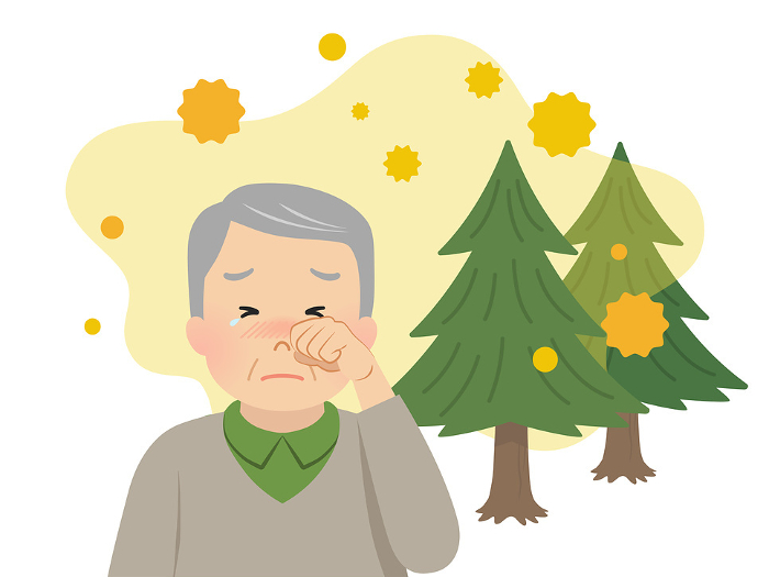 Image of a senior male suffering from hay fever symptoms_vector illustration