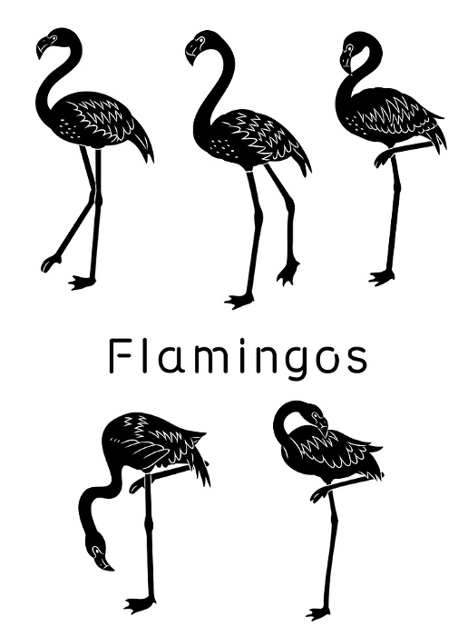 hand-drawn flamingo silhouette illustration set