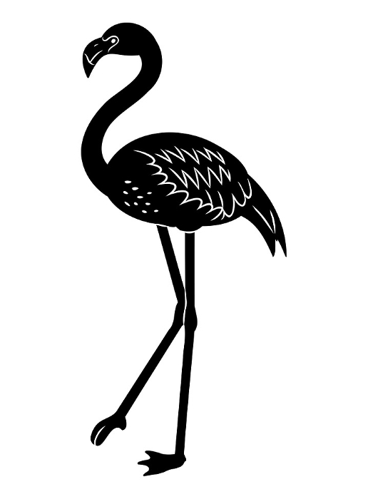 Hand drawn silhouette of flamingo.