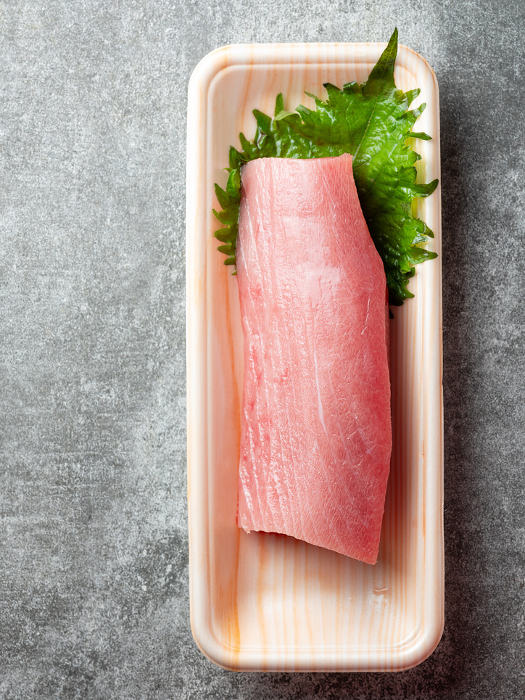 medium-fatty tuna fence