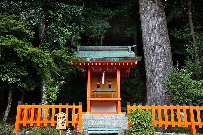 Nachi Taisya Shrine, Kodomiya