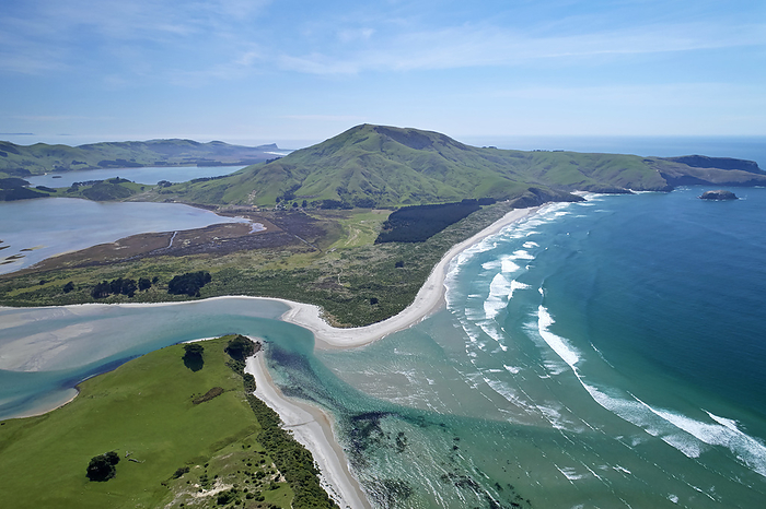 New Zealand Hoopers Inlet and Allans Beach, Otago Peninsula, Dunedin, South Island, New Zealand   drone aerial