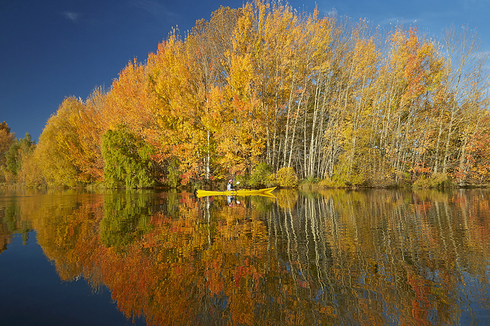 New Zealand Kayak and autumn reflections in Kellands Pond, near Twizel, Mackenzie District, North Otago, South Island, New Zealand  model released 