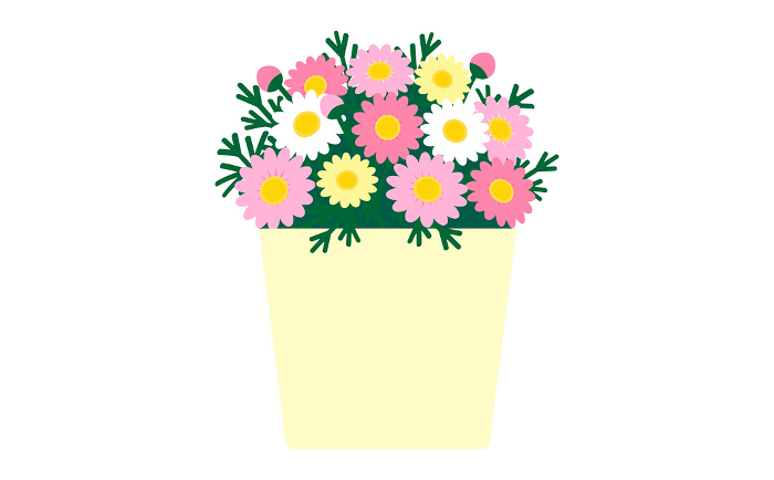 Pink marguerite in a pale yellow basket
