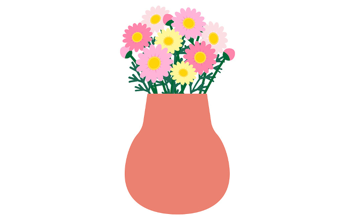 Pink and yellow marguerites in a vase