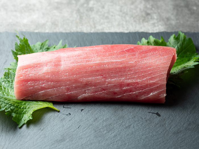 Medium fatty tuna fence and sashimi knife