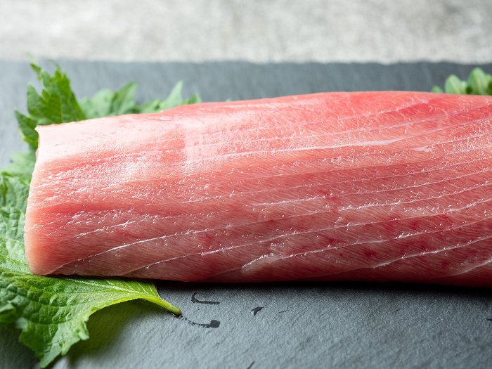Medium fatty tuna fence and sashimi knife