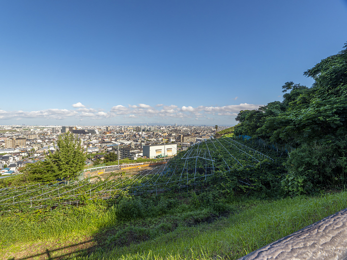 Takao vineyard and Osaka cityscape