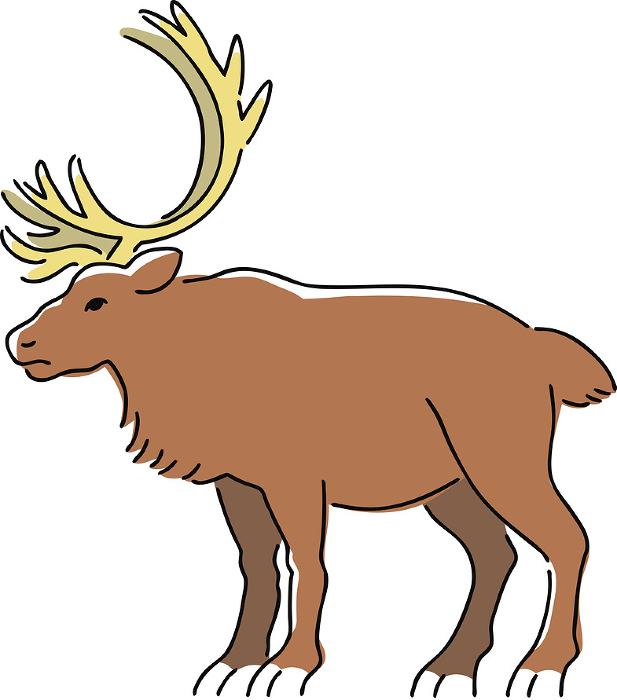 Hand drawn reindeer illustration