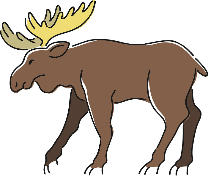 Hand drawn illustration of a moose
