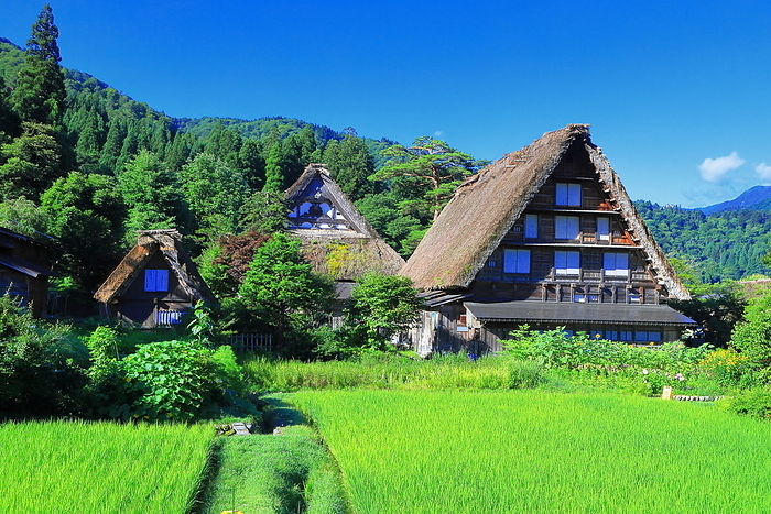 Shirakawa-go on a summer morning Shirakawa Village, Gifu Prefecture