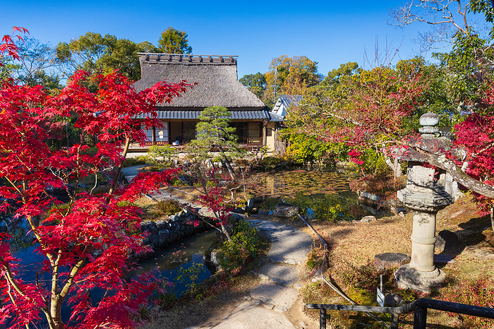 Sanshutei seen from the front garden of Yosuien in autumn foliage, Nara Prefecture