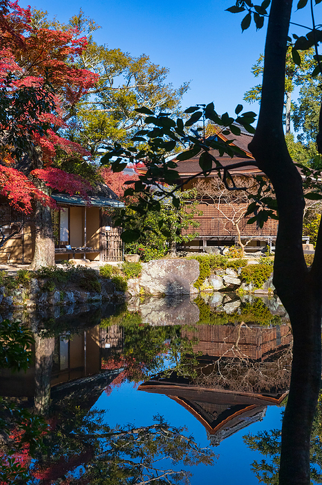Yosuien Garden and Yagyudo Hall in Autumn Foliage, Nara Prefecture Back left Hyoshintei Back right Yagyu do