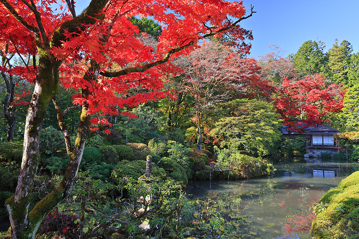 Autumn leaves in Shoyoen, Nikko-zan Rinnoji Temple, Tochigi Pref.