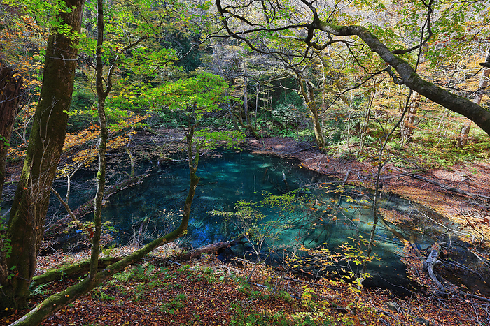 Lake Jyuuni at the foot of the Shirakami Mountains Boiling Pot Pond Aomori Pref.