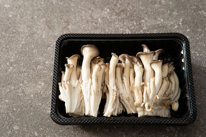 Oyster mushrooms in a packaging container