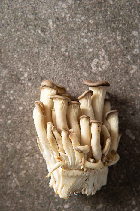 Fresh oyster mushrooms, food ingredients