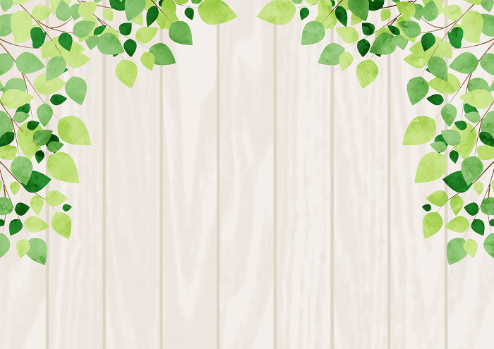 leaf, board, arch, fresh green, background, frame, illustration, early summer, cute