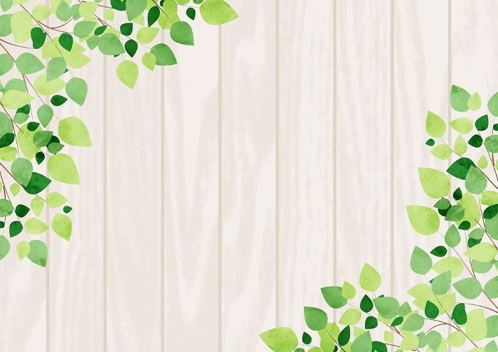 leaf, board, diagonal, fresh green, background, frame, illustration, early summer, cute