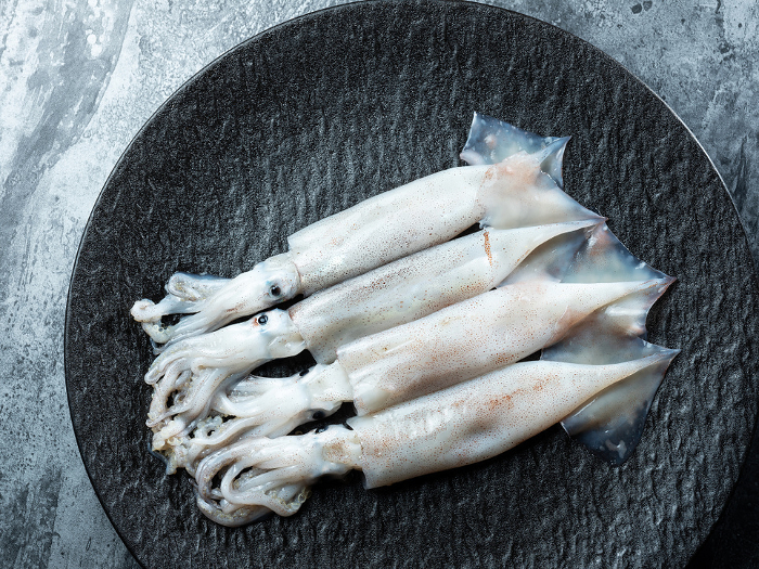 Food Ingredients, Fresh Raw Squid