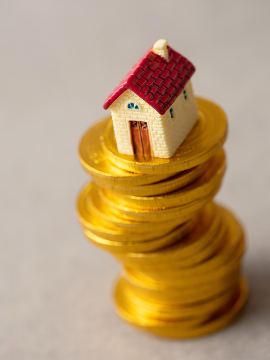 Miniature house on gold coin