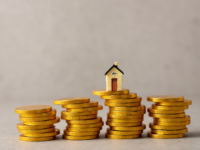 Miniature house on gold coin