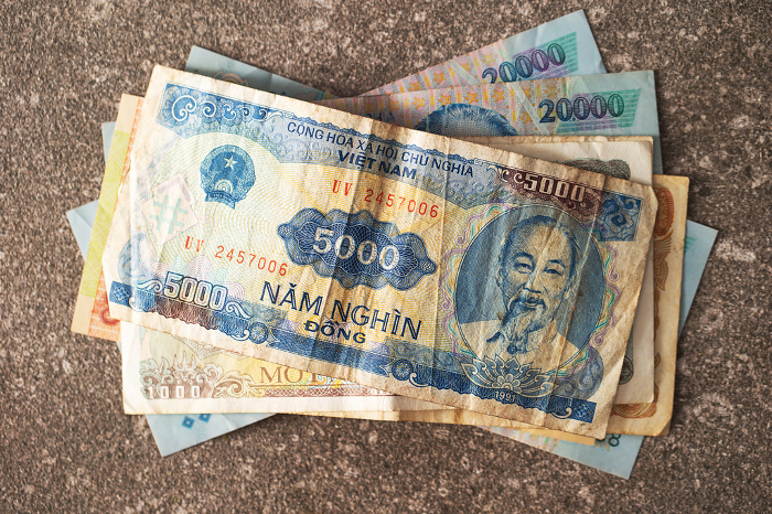 Old Vietnamese Dong, Vietnamese currency