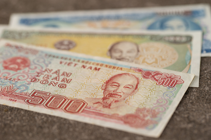 Old Vietnamese Dong, Vietnamese currency