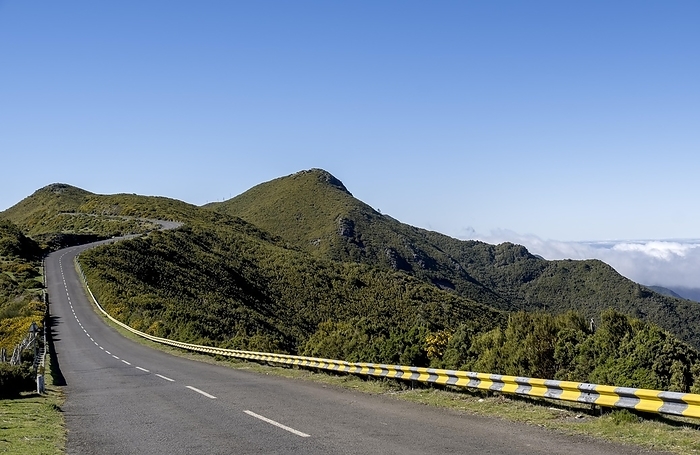 Road on the Paul da Serra plateau, Madeira, Portugal, Europe, by AnnaReinert