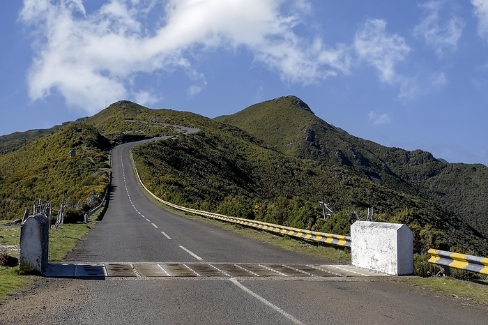 Road on the Paul da Serra plateau, a cattle grid in the foreground, Madeira, Portugal, Europe, by AnnaReinert