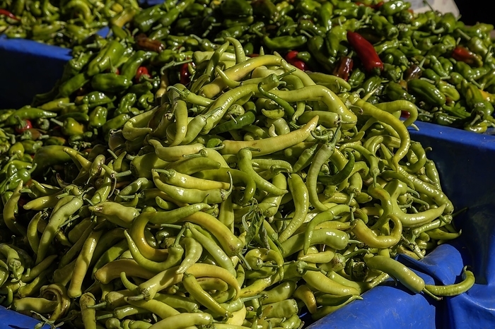 Green chillies on a market stall, Özdere, İzmir province, Aegean region, Turkey, Asia, by AnnaReinert