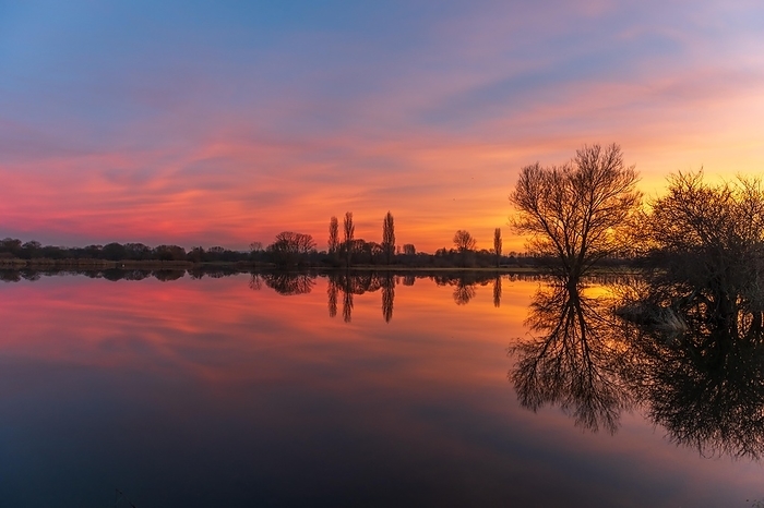 Trees reflected in the water at sunset. Winter landscape with red and orange sky. Bas-Rhin, Alsace, Grand Est, France, Europe, by ncphoto