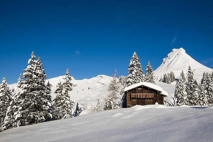 Snow-covered mountains and mountain hut, Damülser Mittagspitze, Damüls, Bregenzerwald, Vorarlberg, Austria, Europe, by Daniel Schoenen