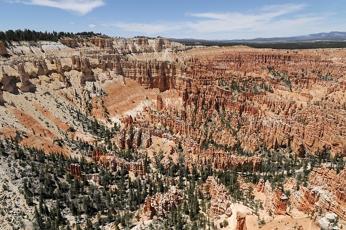 View of Bryce Canyon National Park, Utah, USA, North America, by Egon Bömsch
