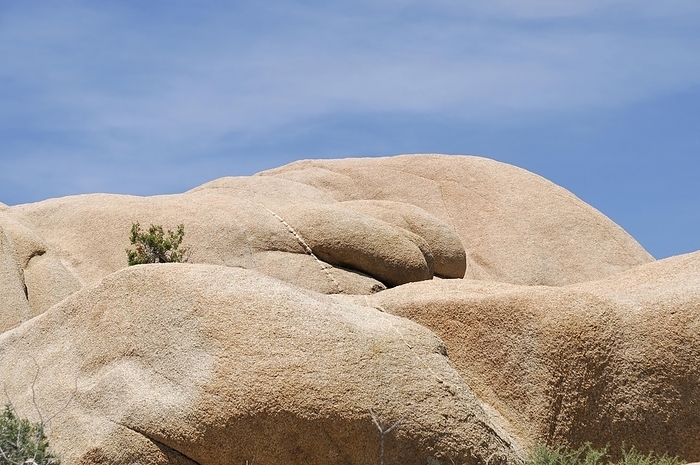 Monzogranite formations, Joshua Tree National Park, Palm Desert, Southern California, USA, North America, by Egon Bömsch