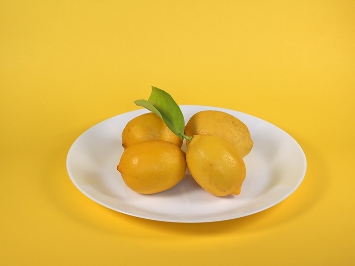 Lemons in a dish, by Claudio Divizia