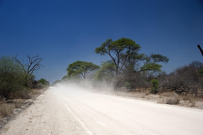 The C44 near Tsumke, road, highway, path, centre, nobody, lonely, road trip, landscape, journey, car, adventure, sandy track, dusty, dusty, distance, Namibia, Africa, by Franzel Drepper