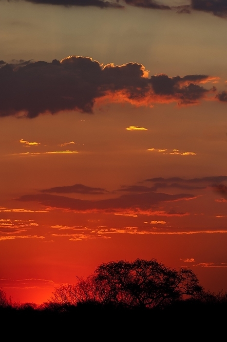 African sunset, sun, evening sky, romantic, romance, longing, emotion, travel, holiday, red sky, sunset, nature, landscape, Moremi National Park, Botswana, Africa, by Franzel Drepper