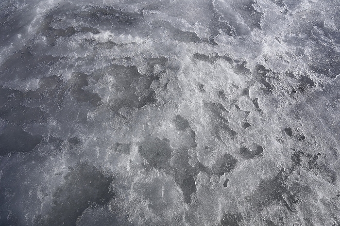 Detail, ice pattern on a frozen river, Province of Quebec, Canada, North America, by Guenther Schwermer