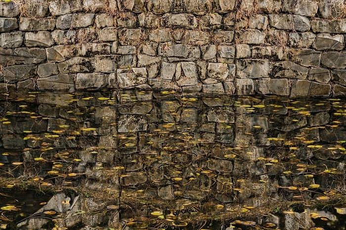 Closeup of stone wall and its reflection in pond of still water with autumn leaves floating on surface, by John Erskin