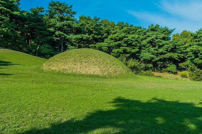 Large royal mound tomb of the Beakje period of South Korea in open field surrounded by evergreen trees under blue sky, South Korea, South Korea, Asia, by John Erskin