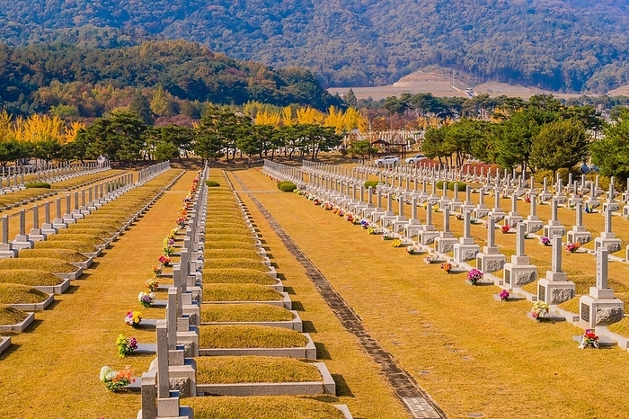Daejeon, South Korea, November 3, 2019: Grass turning from green to brown on graves of fallen heroes in early autumn at Daejeon National Cemetery. For editorial use only, South Korea, South Korea, Asia, by aminkorea